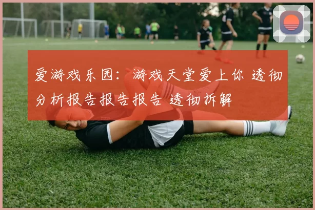 爱游戏乐园：游戏天堂爱上你 透彻分析报告报告报告 透彻拆解