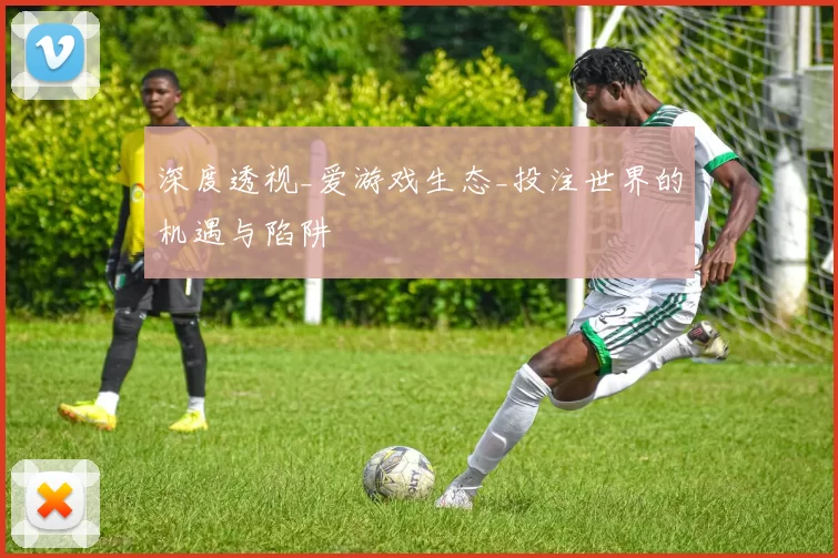 深度透视_爱游戏生态_投注世界的机遇与陷阱