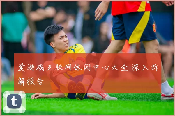爱游戏互联网休闲中心大全 深入拆解报告