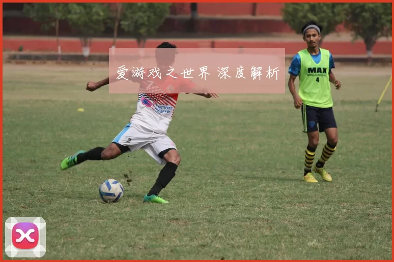 爱游戏之世界 深度解析