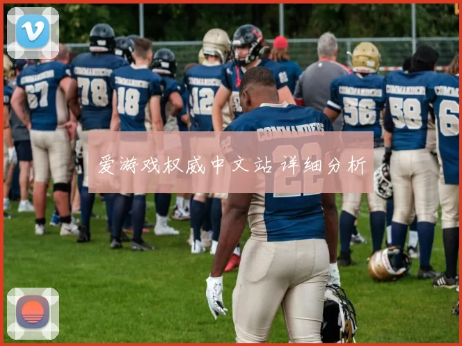 爱游戏权威中文站 详细分析