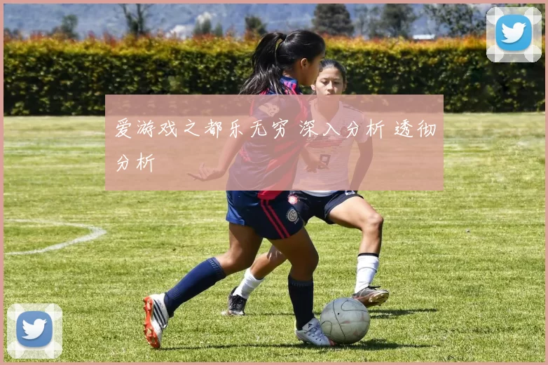 爱游戏之都乐无穷 深入分析 透彻分析