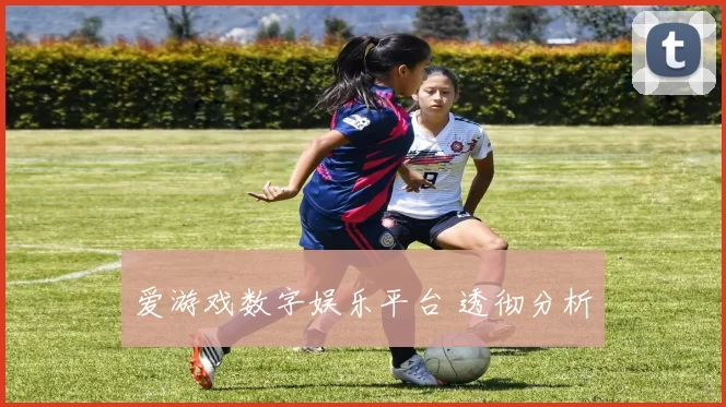 爱游戏数字娱乐平台 透彻分析