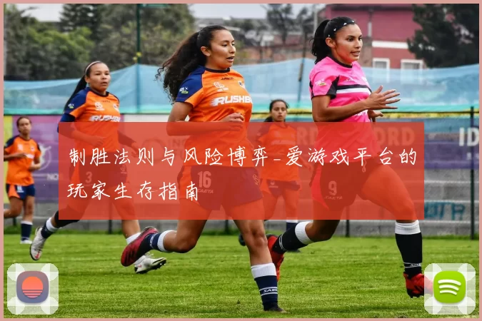 制胜法则与风险博弈_爱游戏平台的玩家生存指南