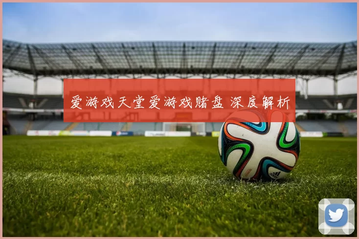 爱游戏天堂爱游戏赌盘 深度解析