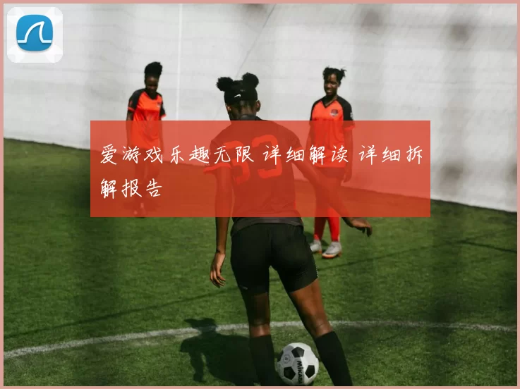 爱游戏乐趣无限 详细解读 详细拆解报告