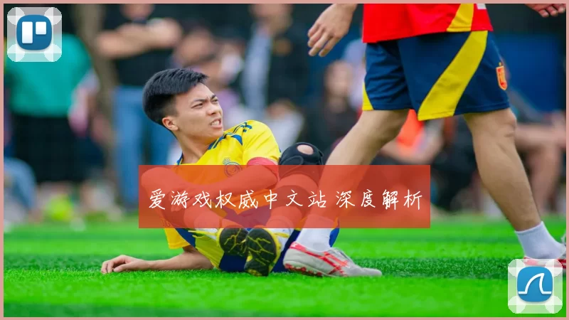 爱游戏权威中文站 深度解析