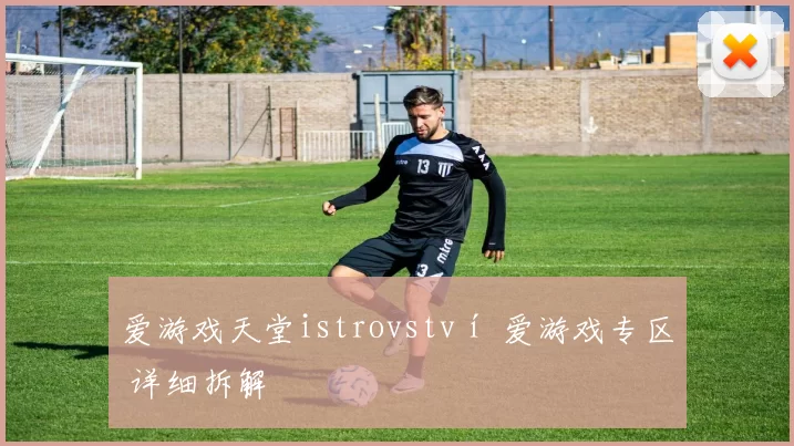 爱游戏天堂istrovství 爱游戏专区 详细拆解