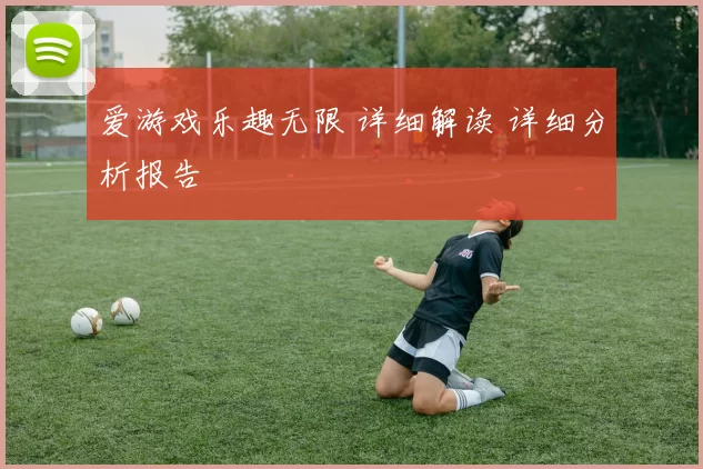 爱游戏乐趣无限 详细解读 详细分析报告