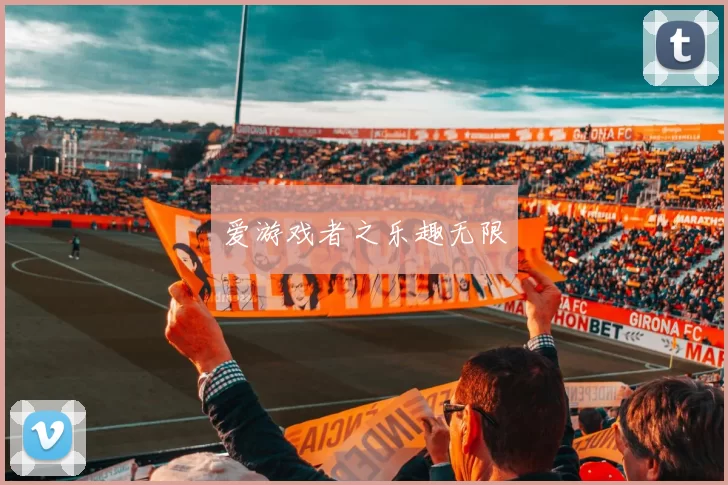 爱游戏者之乐趣无限