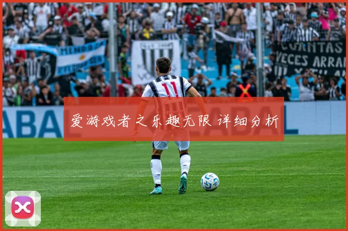 爱游戏者之乐趣无限 详细分析