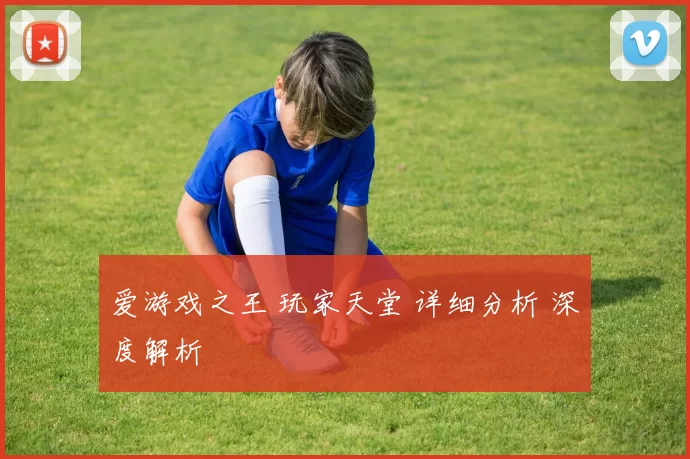 爱游戏之王 玩家天堂 详细分析 深度解析