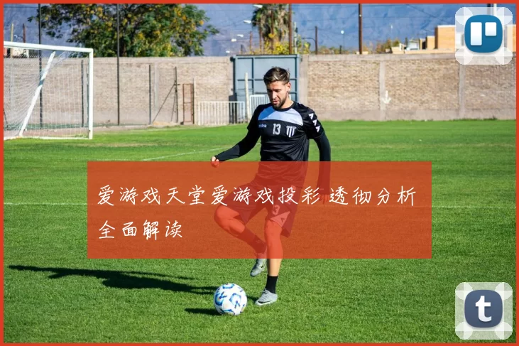 爱游戏天堂爱游戏投彩 透彻分析 全面解读