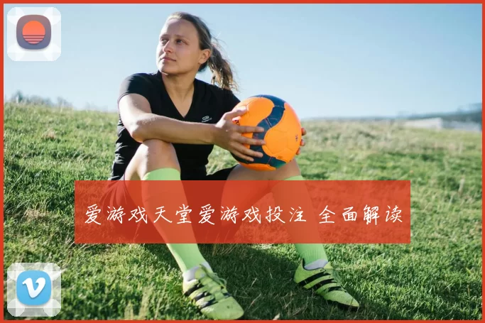 爱游戏天堂爱游戏投注 全面解读