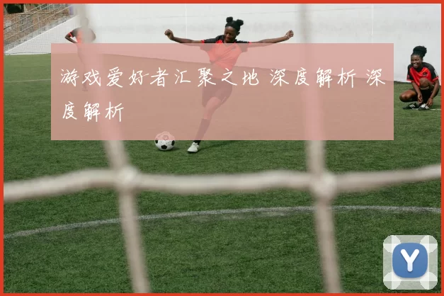 游戏爱好者汇聚之地 深度解析 深度解析
