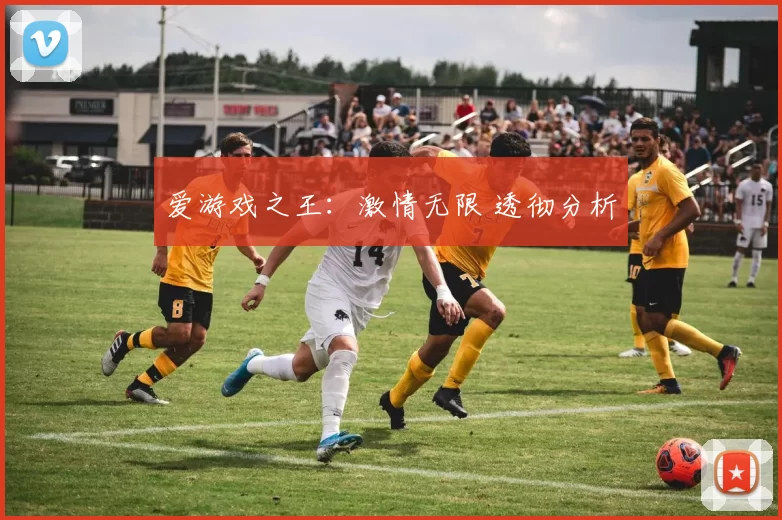 爱游戏之王：激情无限 透彻分析