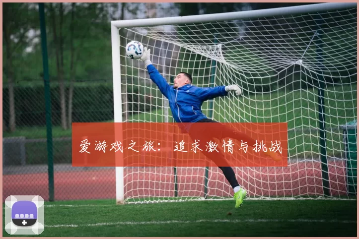 爱游戏之旅：追求激情与挑战
