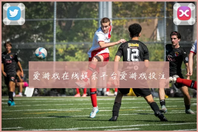 爱游戏在线娱乐平台爱游戏投注