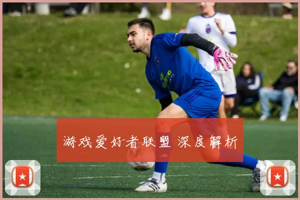游戏爱好者联盟 深度解析