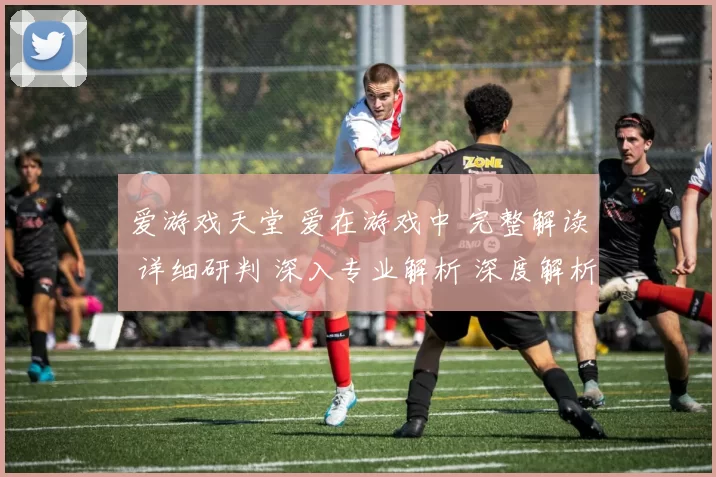 爱游戏天堂 爱在游戏中 完整解读 详细研判 深入专业解析 深度解析