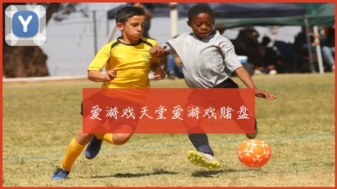 爱游戏天堂爱游戏赌盘