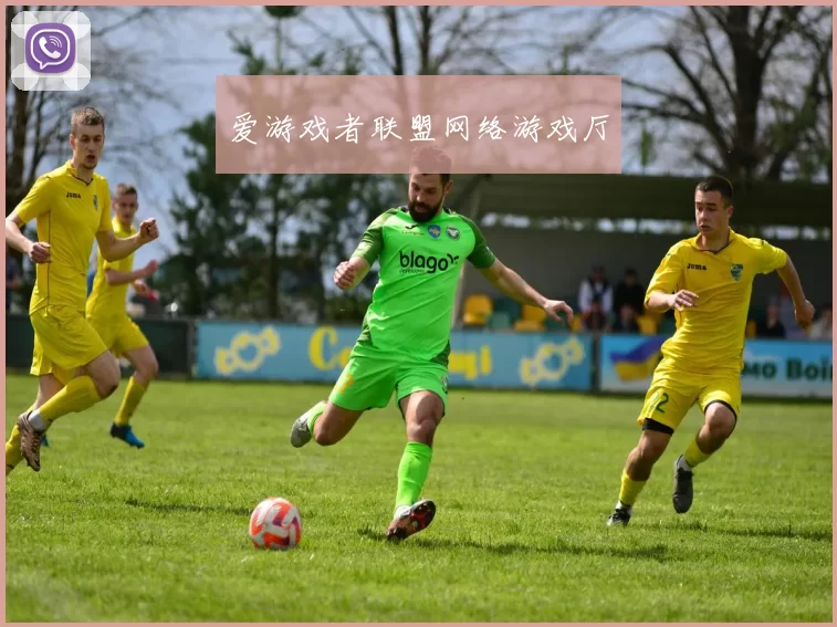 爱游戏者联盟网络游戏厅