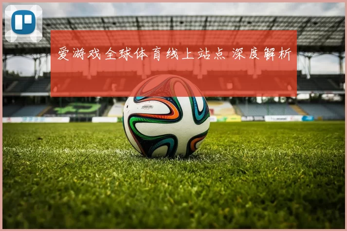 爱游戏全球体育线上站点 深度解析