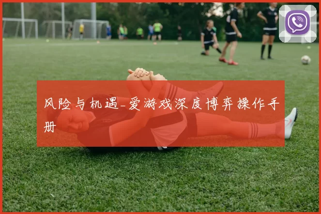 风险与机遇_爱游戏深度博弈操作手册