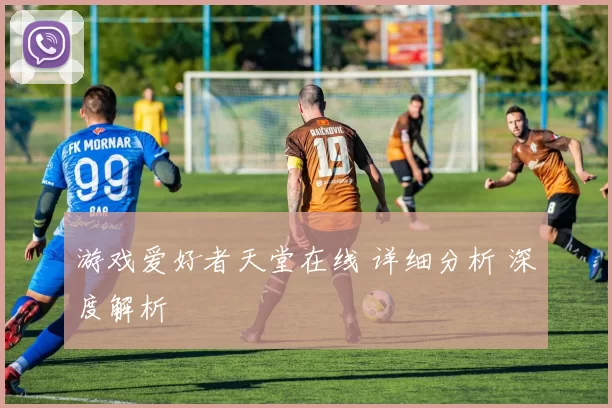 游戏爱好者天堂在线 详细分析 深度解析