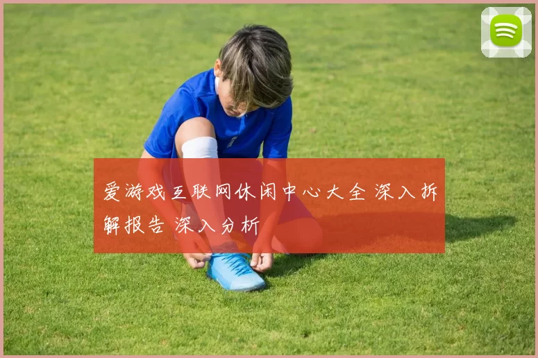 爱游戏互联网休闲中心大全 深入拆解报告 深入分析