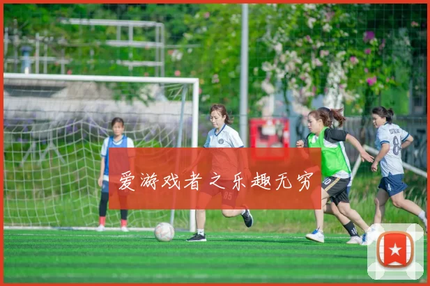 爱游戏者之乐趣无穷