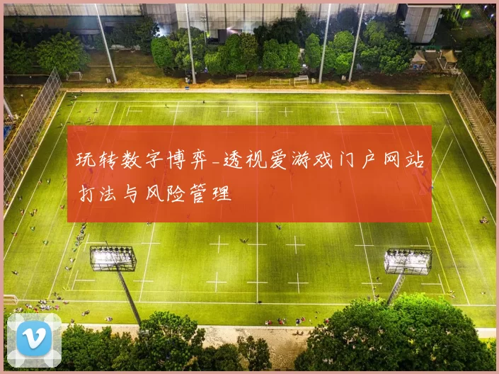 玩转数字博弈_透视爱游戏门户网站打法与风险管理