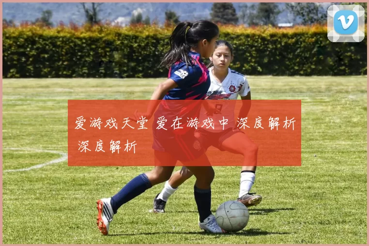 爱游戏天堂 爱在游戏中 深度解析 深度解析