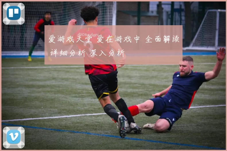 爱游戏天堂 爱在游戏中 全面解读 详细分析 深入分析