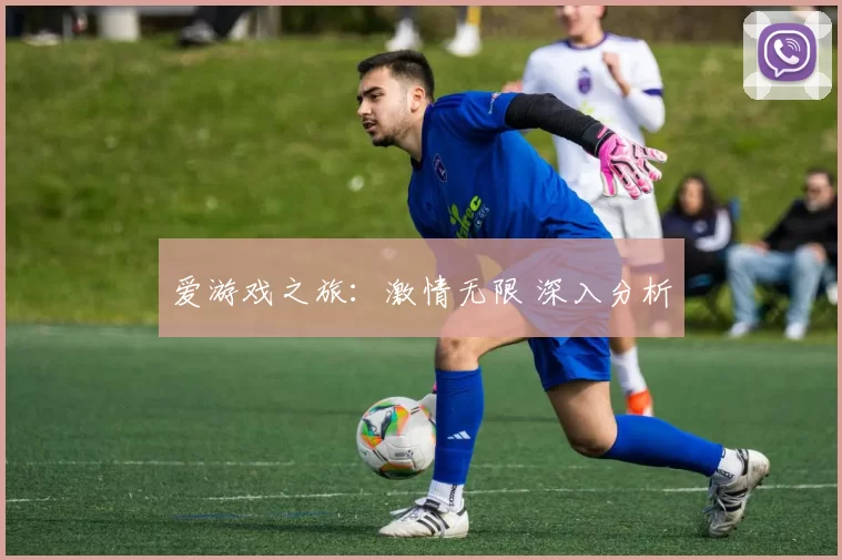 爱游戏之旅：激情无限 深入分析