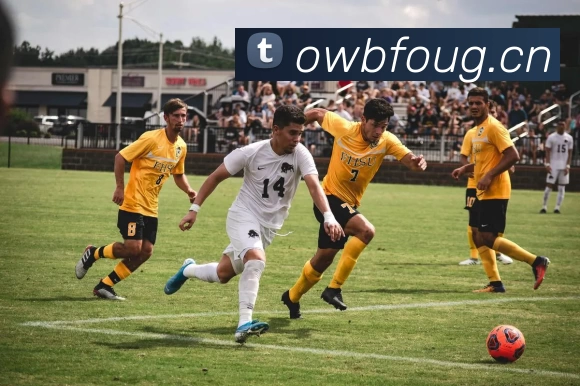 爱游戏网：全球游戏资讯赌博站 深度解析