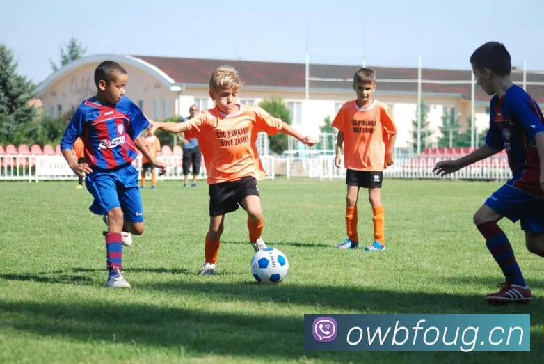 ayx.comAPP 封面图